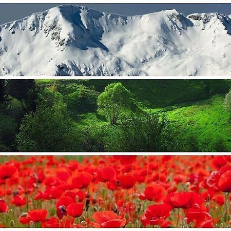 Апартаменти Ковачева-2 Bansko Zewnętrze zdjęcie
